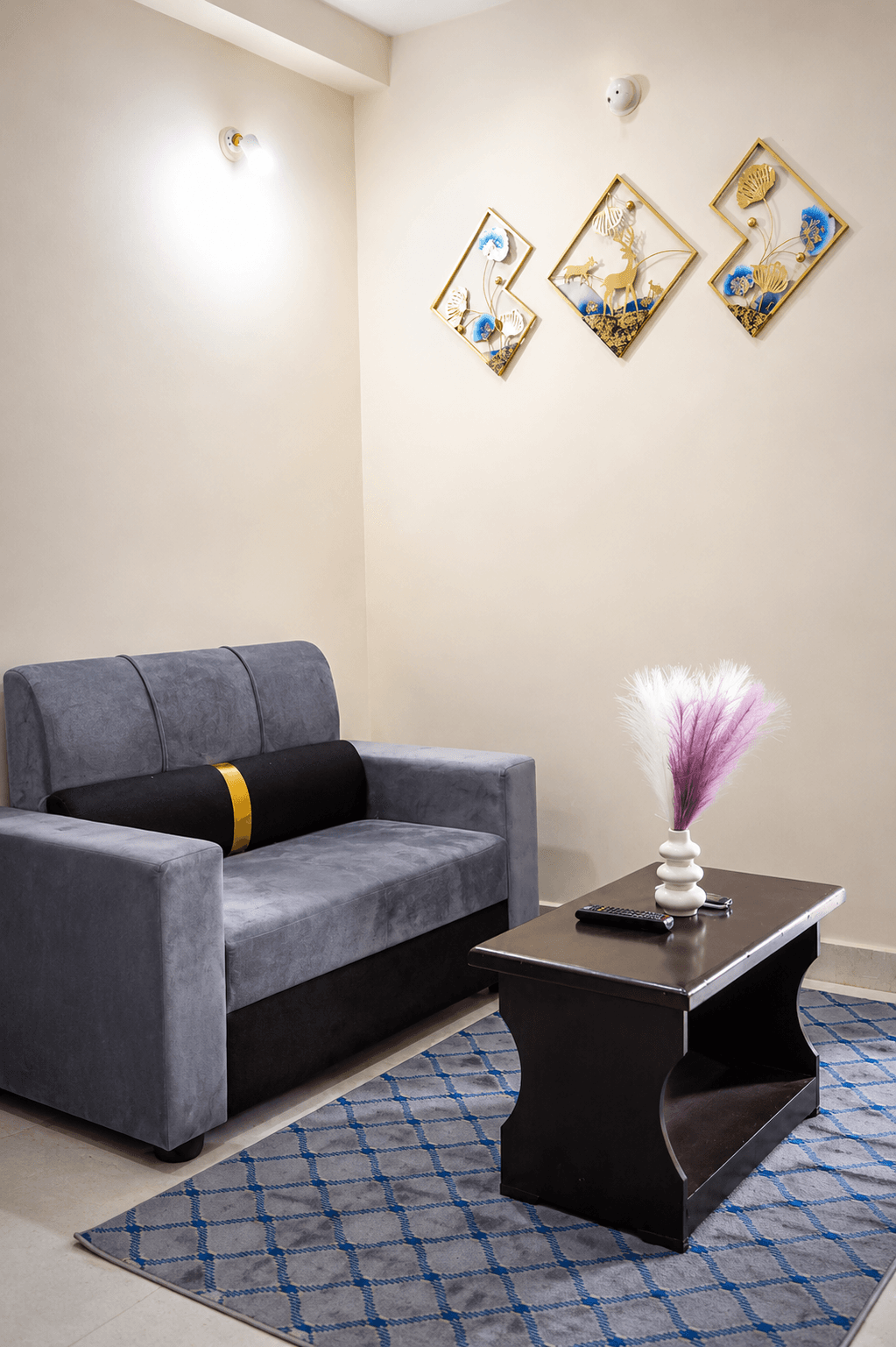 Cozy 1BHK for Couples photo 7